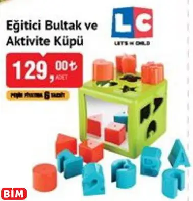 LC EĞİTİCİ BULTAK VE AKTİVİTE KÜPÜ